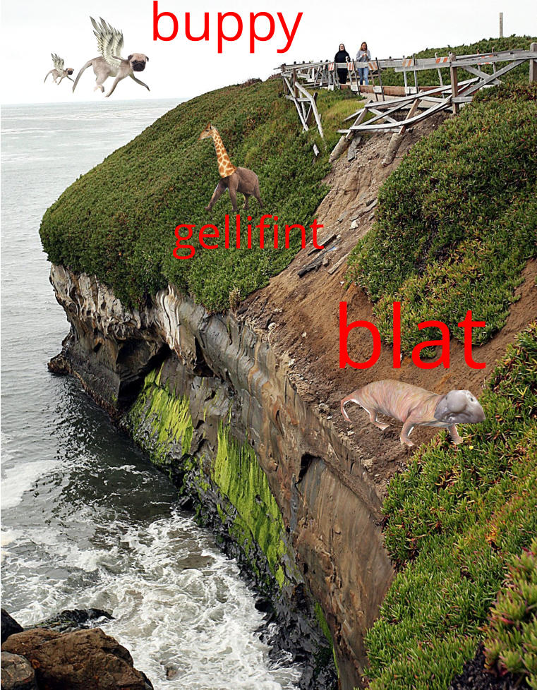blat  buppy gellifint